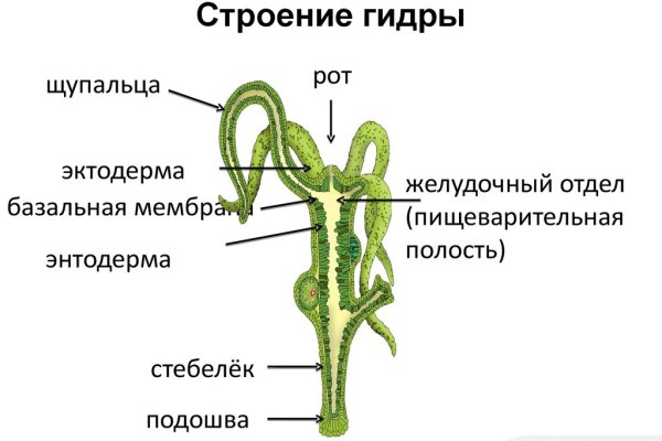 Кракен оригинальные ссылка в тор