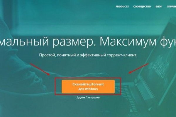 Как выводить деньги с кракена
